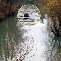 Na dnu slovenske reke je mlada potapljačica naletela na veličastno najdbo