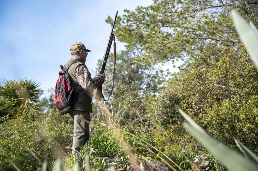 Fotografija je simbolična. (foto: Profimedia)