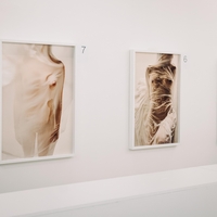 Zgodba številka 11 – ko umetnost poveže lepoto, pogum in dobrodelnost