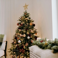 Prekmalu, prepozno ali ravno prav: kdaj je pravi čas, da postavimo božično smreko in vse praznične okraske?