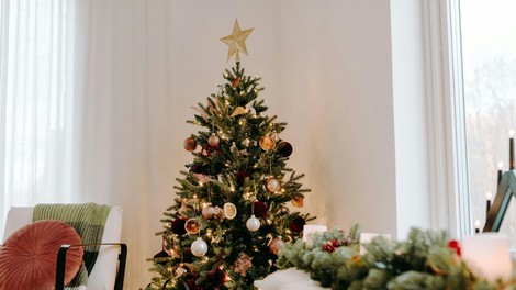 božič božično drevo smreka