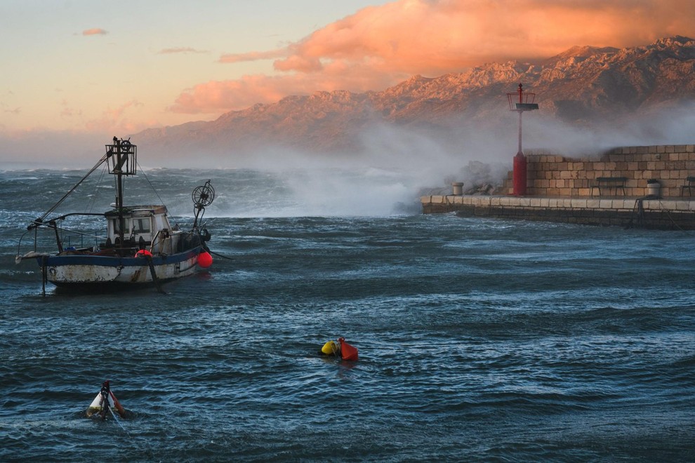 jadran tezave modra rakovica hrvaska ribici problem invazija