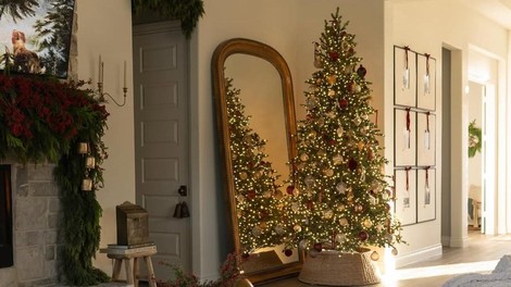 božična smreka jelka božič