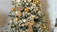 božična smreka jelka božič