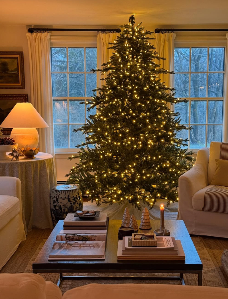 božična smreka jelka božič