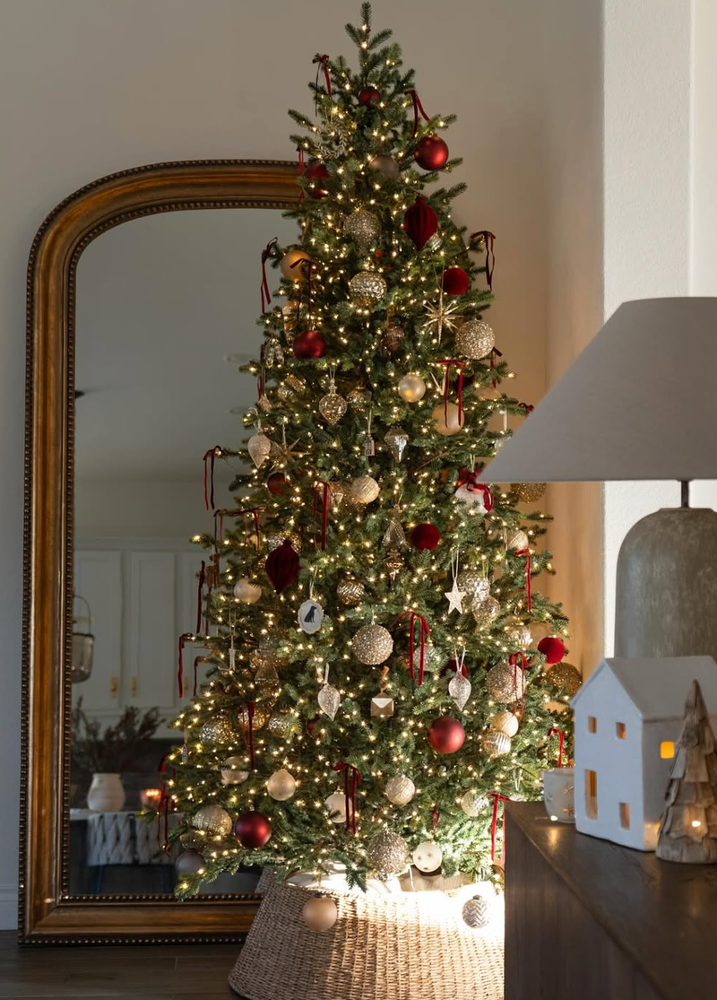 božična smreka jelka božič