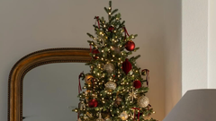 božična smreka jelka božič