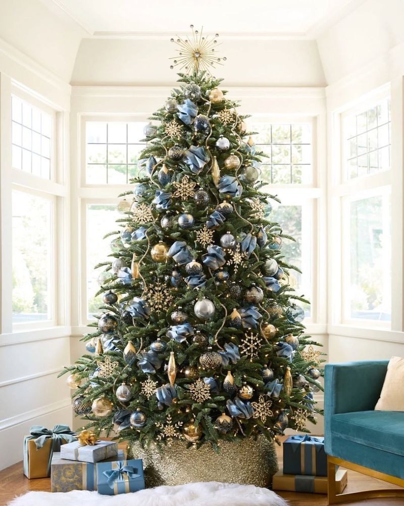 božična smreka jelka božič