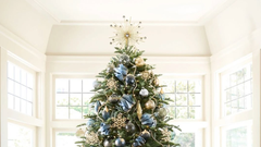 božična smreka jelka božič