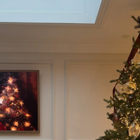 Ne rdeča, letos bo božični čas zaznamovala ta priljubljena barva, ki pa nosi poseben pomen