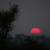 NASA z osupljivim razkritjem: zgodilo se bo čez 2 leti, svet bo obstal, česa takšnega Zemlja v 100 letih še ni doživela
