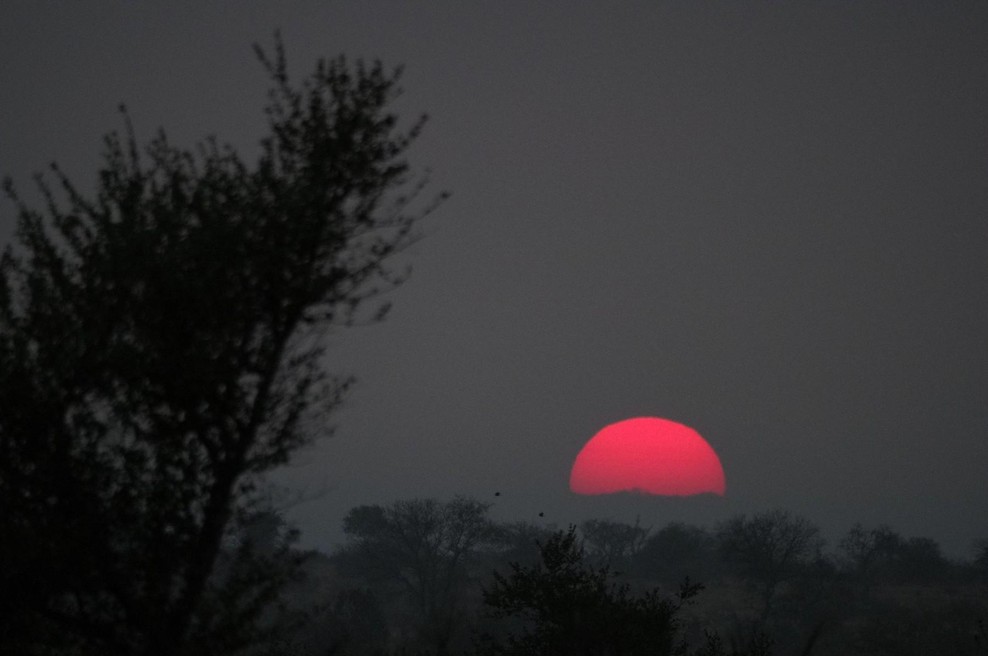 NASA z osupljivim razkritjem: zgodilo se bo čez 2 leti, svet bo obstal, česa takšnega Zemlja v 100 letih še ni doživela (foto: Profimedia)