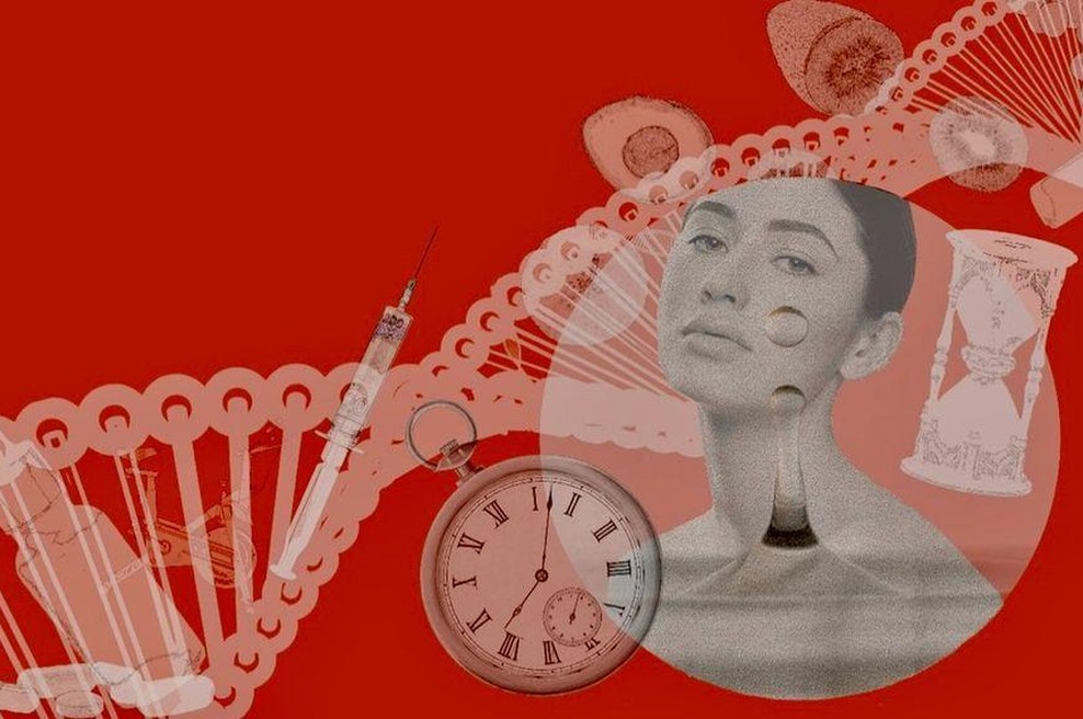 Druženje in delavnica, kjer se boste v družbi treh vrhunskih strokovnjakinj naučile živeti bolj polno življenje (foto: Kavarna Vitalne investitorke)