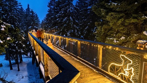 Ujemite praznične spomine z izjemnimi zmogljivostmi Huawei Pura 80