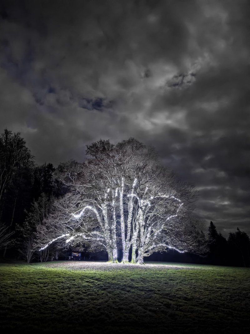 Ujemite praznične spomine z izjemnimi zmogljivostmi Huawei Pura 80