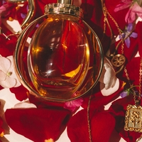 Parfum, ki je popoln za praznične dni: vse okoli vas bo pustil odprtih ust