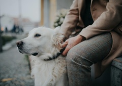 "Moj sosed za svojim psom nikoli ne pospravi iztrebkov, zato sem ..." (resnična izpoved)