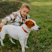 "Tašča je ignorirala najino pravilo in sinu kupila kužka - na moje presenečenje ni bila pripravljena" (resnična izpoved)