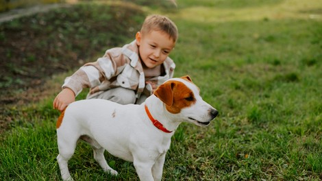 pes kuža fantek fant otrok