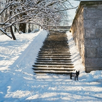 Ne s soljo - da bo led na stopnišču v hipu izginil, uporabite poceni sestavino, ki jo že imate doma