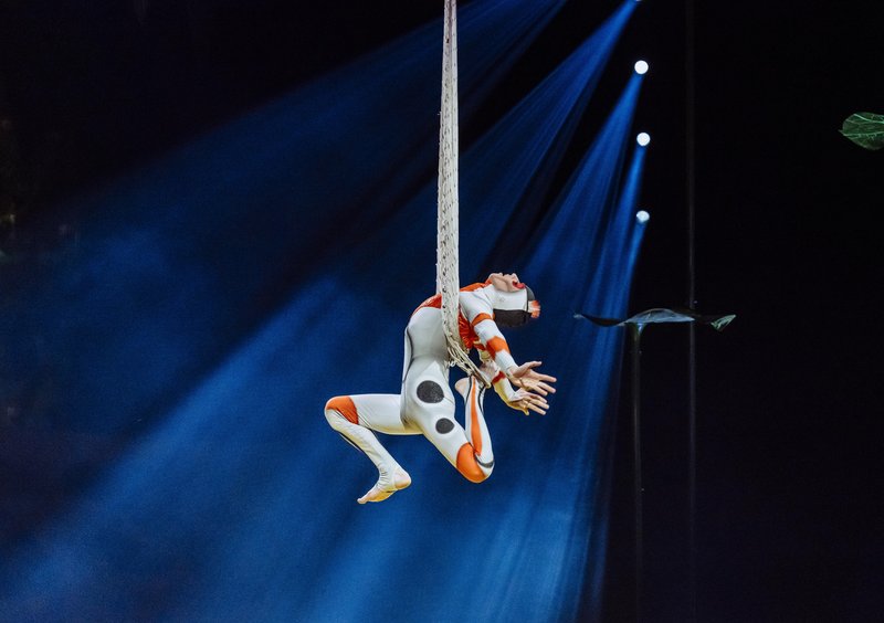 Cirque du Soleil razkriva izjemno oblikovanje kostumov v spektaklu OVO – poklon pisanemu svetu žuželk