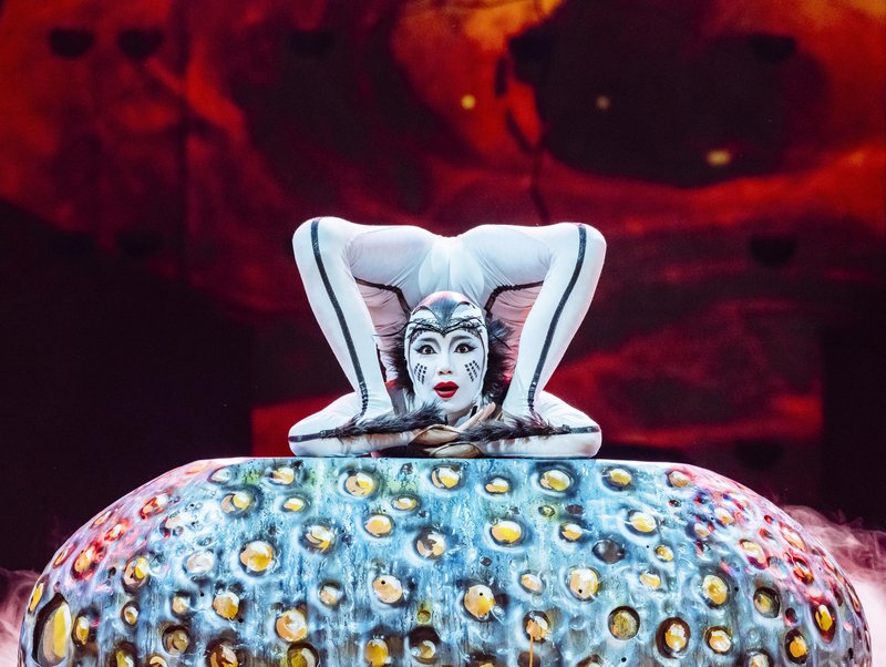 Cirque du Soleil razkriva izjemno oblikovanje kostumov v spektaklu OVO – poklon pisanemu svetu žuželk