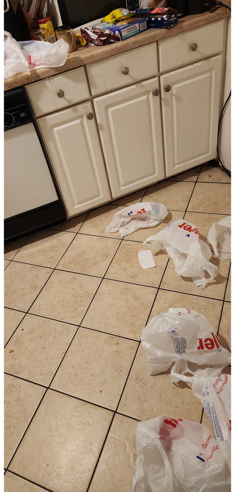 "Fanta sem prosila, naj pospravi nakupljena živila – a kar sem nato zagledala doma, me je šokiralo"