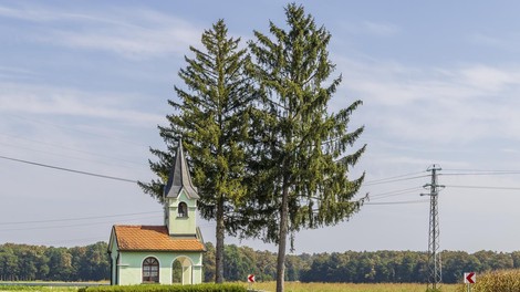 slovenija naklo gostilna tabor avstrija pohvale clanek prispevek hrana kulinarika
