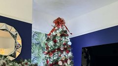 Nemška doga Wellington pes 70 kg