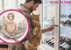 Resnična izpoved Slovenke: prijatelju je zaupala stanovanje in mačko, on pa je naredil nekaj, kar jo je pustilo odprtih ust