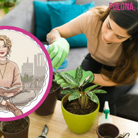 "Nisem pričakovala, da bo šlo tako daleč – moje stanovanje je neprepoznavno!"