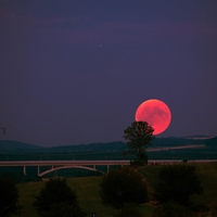 Krvava polna luna z mrkom prinaša čustveni reset, ki ga nismo naročili, a ga močno potrebujemo
