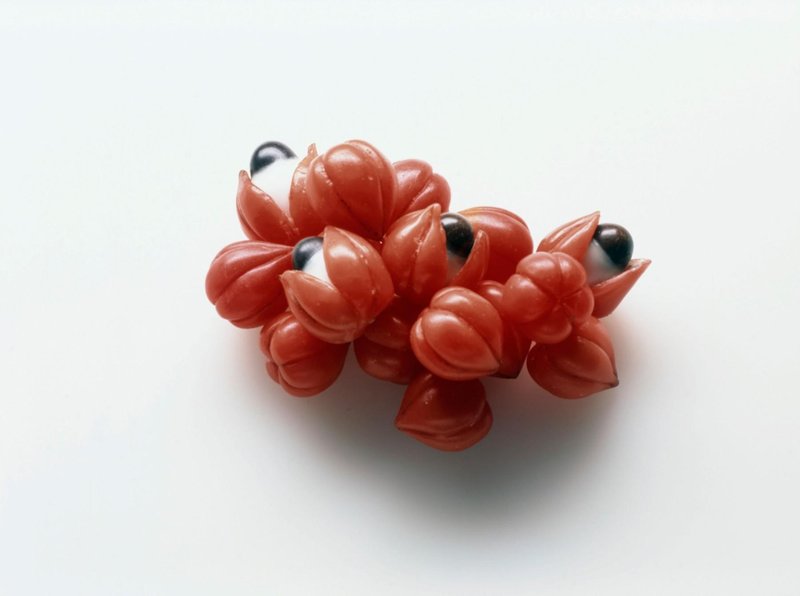 Pozabite na kavo – izberite gvarano z izjemnimi učinki na počutje (zdaj v zelo prisrčni obliki!)