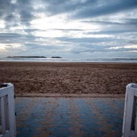 59-letno mamo na sanjskem dopustu na plaži opraskal pes: 4 mesece kasneje je bila mrtva