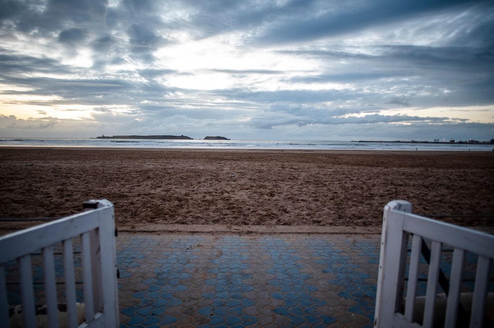 59-letno mamo na sanjskem dopustu na plaži opraskal pes: 4 mesece kasneje je bila mrtva (foto: Profimedia)