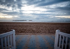 59-letno mamo na sanjskem dopustu na plaži opraskal pes: 4 mesece kasneje je bila mrtva