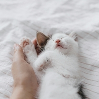 Tudi vi slabo spite? Številne ženske že prisegajo na 7:1 metodo (tako jo za najboljši spanec preizkusite tudi vi)