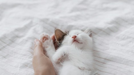 metoda-boljsi-spanec