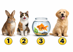 Katerega hišnega ljubljenčka bi izbrali? Test, ki pokaže vaše prioritete