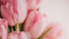 Tulipani bodo sveži in lepi kot še nikoli doslej: če v vazo dodate stvar, ki jo imamo doma čisto vsi, boste v njih uživali cel teden