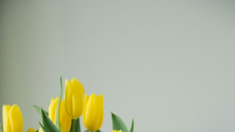 Tulipani bodo sveži in lepi kot še nikoli doslej: če v vazo dodate stvar, ki jo imamo doma čisto vsi, boste v njih uživali cel teden