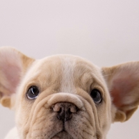 Ta začimba, ki jo zagotovo že imaš doma, bo odstranila vse tvoje gubice in podočnjake (trik, ki ti bo vzel 10 minut)