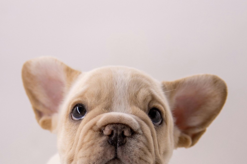 Ta začimba, ki jo zagotovo že imaš doma, bo odstranila vse tvoje gubice in podočnjake (trik, ki ti bo vzel 10 minut) (foto: UNSPLASH)