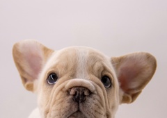 Ta začimba, ki jo zagotovo že imaš doma, bo odstranila vse tvoje gubice in podočnjake (trik, ki ti bo vzel 10 minut)