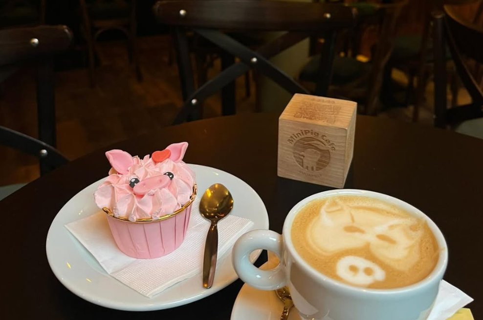 Vsi govorijo o tej kavarni v Budimpešti: nanjo so nori ljubitelji živali, ena stvar pa navdušuje prav vse (foto: instagram.com/minipigcafe_budapest/)