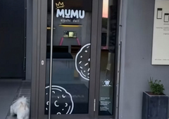 Projekt, o katerem je znani Slovenec sanjal leta: z ženo sta se odločila tvegati, zdaj pa že vsi govorijo o tem