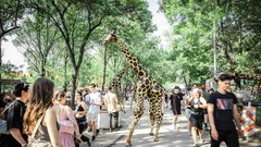 
                                                         Sziget 2026 napoveduje dodatni festivalski dan: Vrača se Day Zero