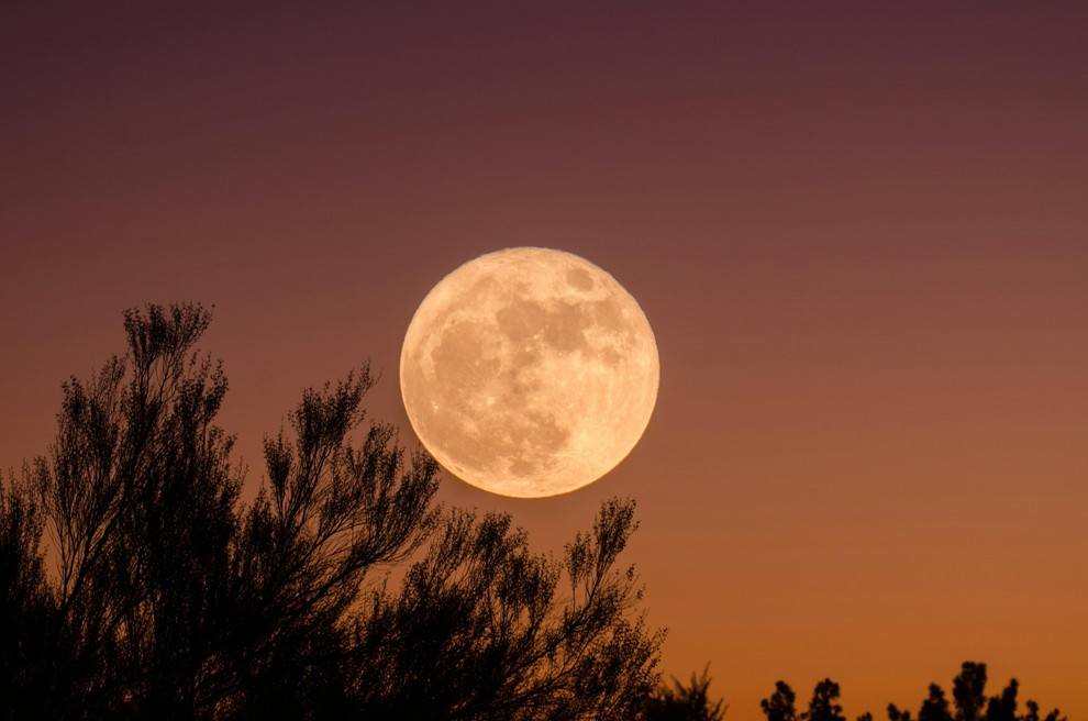 Prva polna luna tega poletja, ki nastopi danes ponoči (30. junij ob 1:56), prinaša val čustvene jasnosti, preobrazbe in novih …