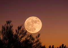 Polna luna 4 znamenjem prinaša veliko spremembo, pripravite se na sproščanje močnih čustev in transformacijo