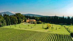 
                                                         Za kanček romantike si lahko med lično urejenimi vinogradi ob sončnih zahodih, ko se sonce prevesi v zlato urmeno barvo, privoščite aperitiv. No, aperitiv, ki je pravzaprav gastronomski biser - nazdravite lahko ob kaviarju, ostrigami Gillardeau, rdečimi kozicami iz Mazara del Vallo in nežno rižoto, ki ima okus po vaniliji.